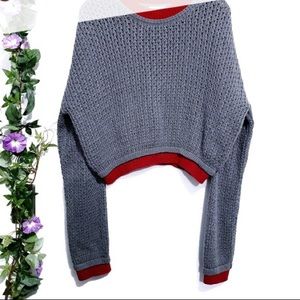 Urban outfitter cropped knit sweater